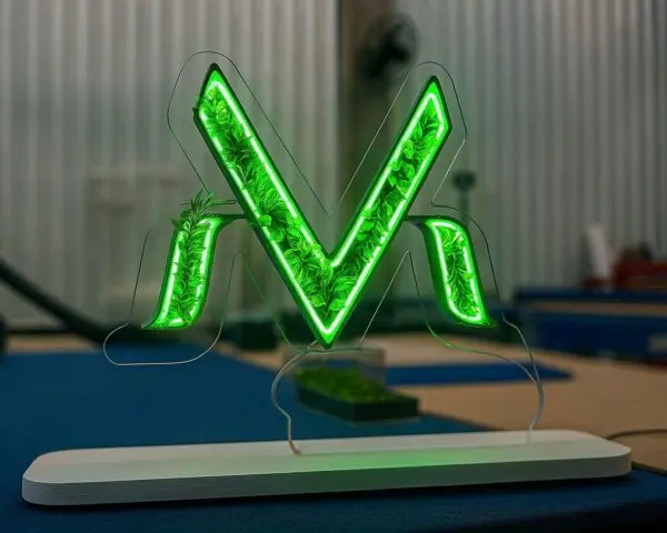 Letras Caixa